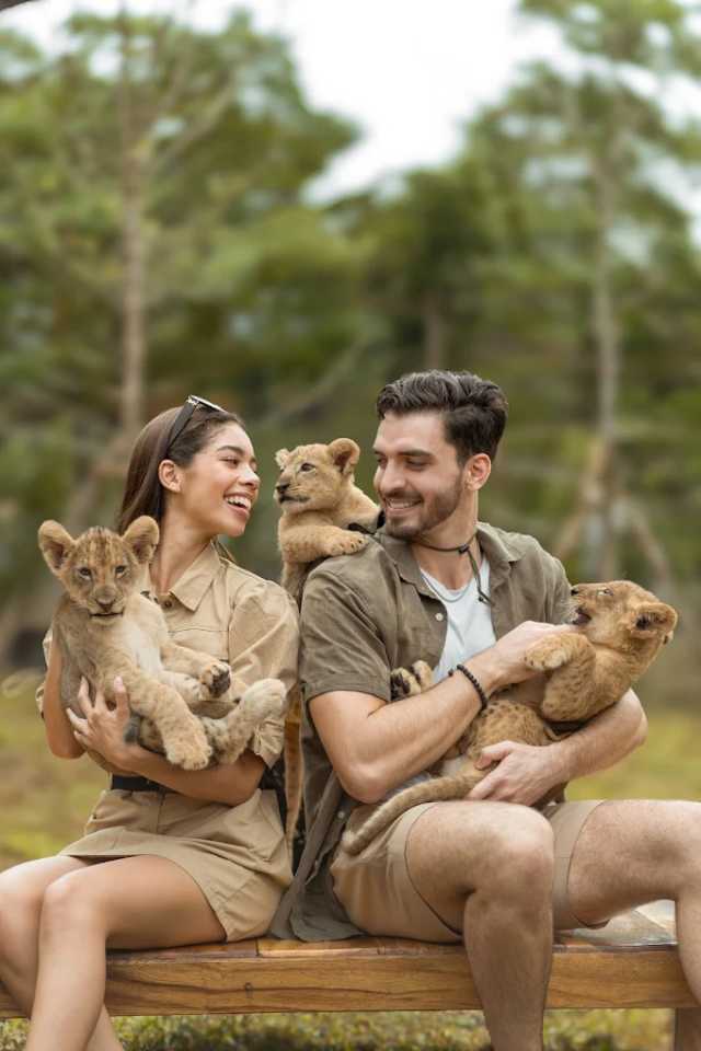 ליון לנד פוקט – Lion Land Phuket | מפגש עם אריות