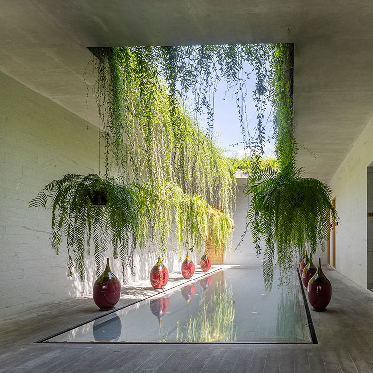 סלס סאמוי | Celes Samui - 5