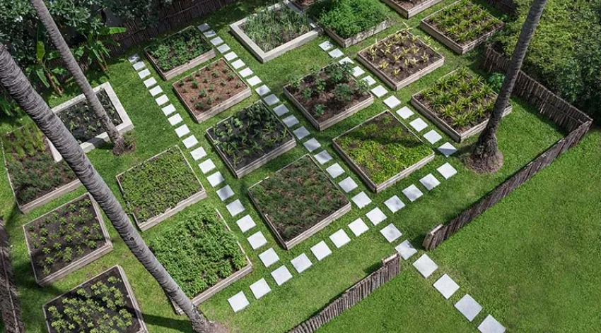 בריכת האינפיניטי ועיצוב היוקרה במלון סנטרה ריזרב קוסמוי - מלון בתאילנד | תמונה 3