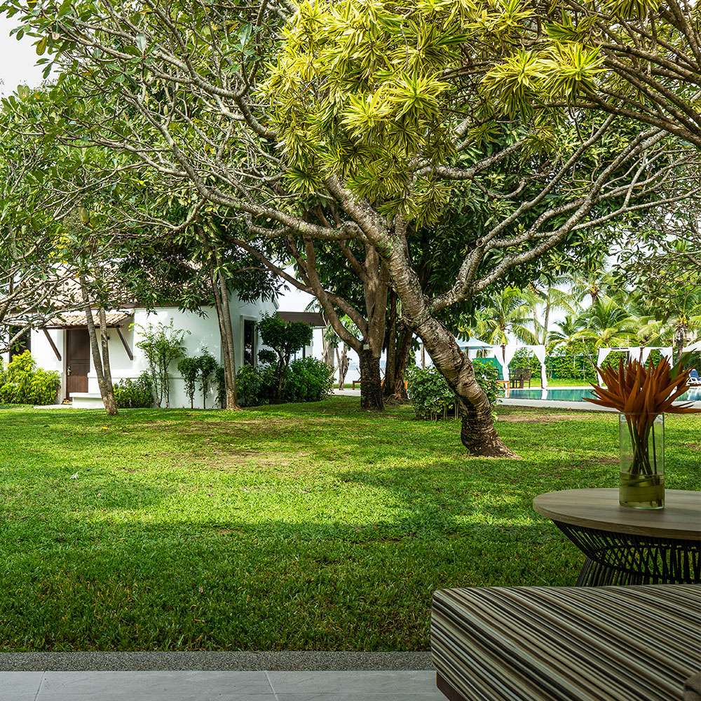 Tropical villa - סלס סאמוי | Celes Samui - תמונה 3