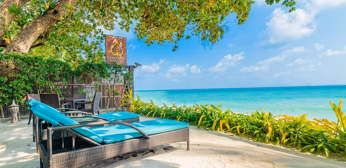Baipho Beachfront Pool Villa - צ'אוונג גרדן ביץ' ריזורט | Chaweng Garden Beach Resort - תמונה 3